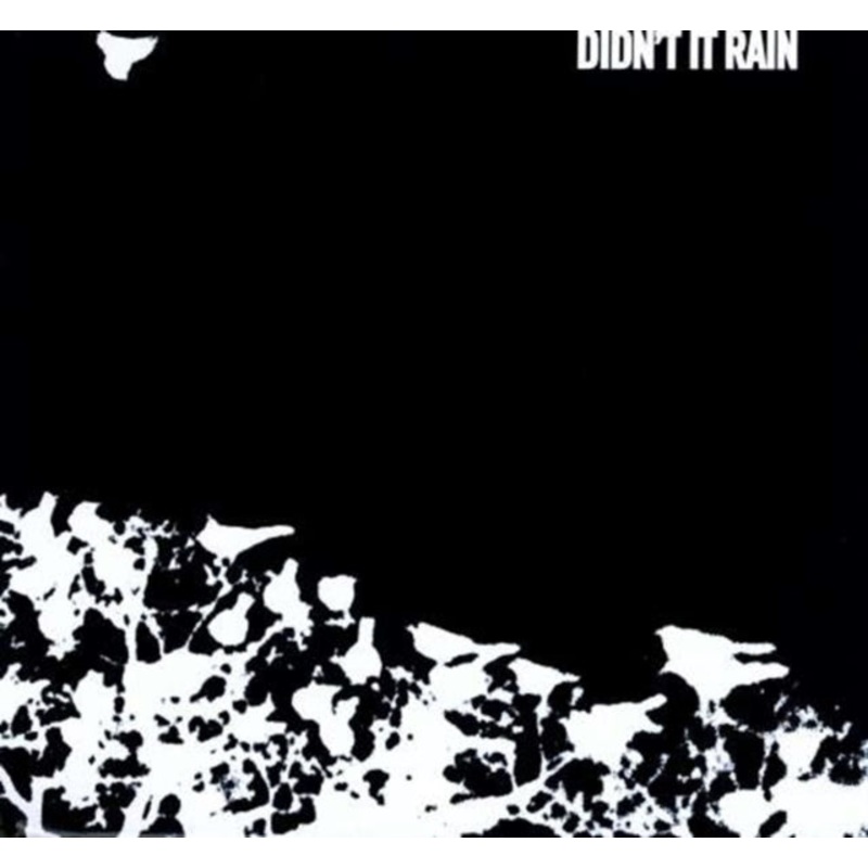 Songs:Ohia – Didn’t It Rain – LP Vinyl