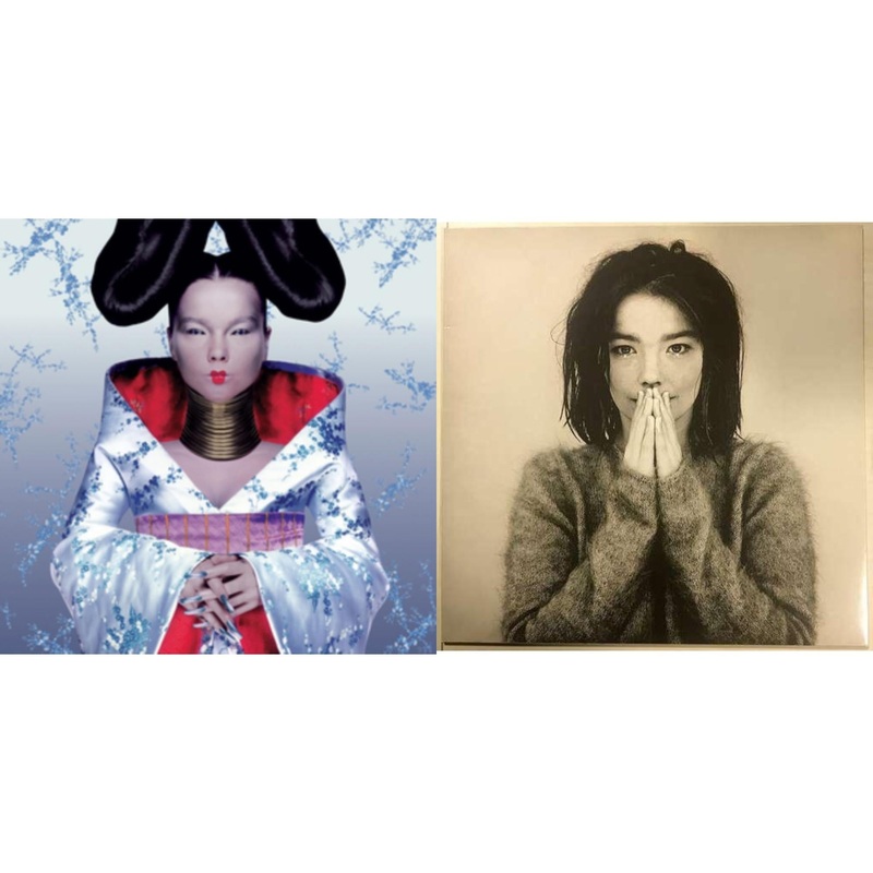 Bjork – Homogenic & Debut – LP Vinyl Bundle