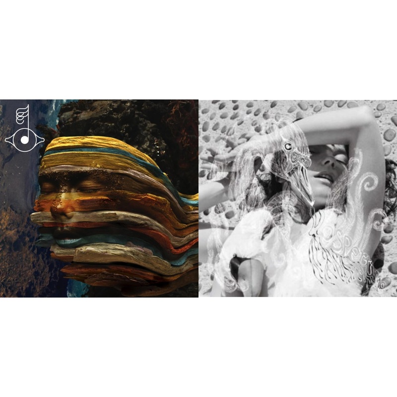 Bjork – Bastards: Remix & Vespertine – LP Vinyl Bundle