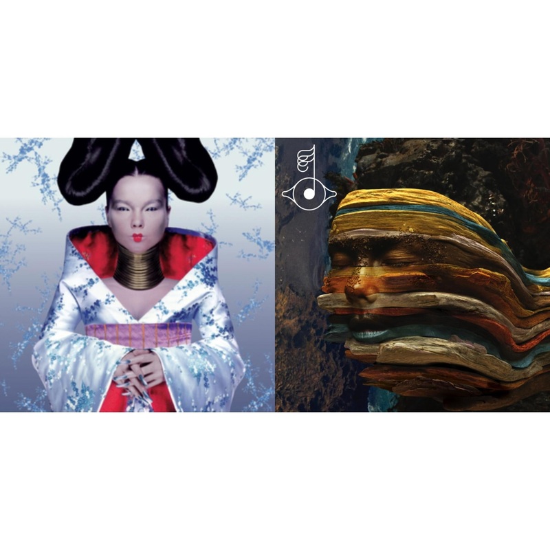 Bjork – Homogenic & Bastards: Remix – LP Vinyl Bundle