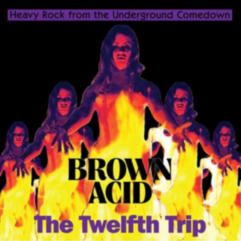 Various Artists – Brown Acid: The Twelfth Trip – LP Vinyl