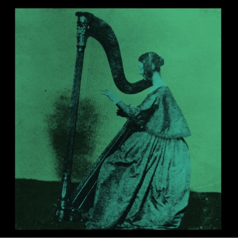 Tv Girl – Grapes Upon The Vine LP Vinyl