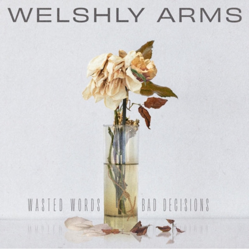Welshly Arms – Wasted Words & Bad Decisions – LP Vinyl