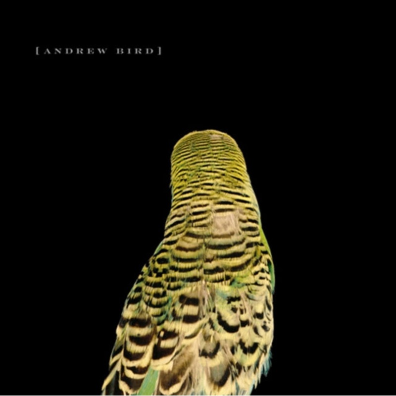 Andrew Bird – Armchair Apocrypha – CD