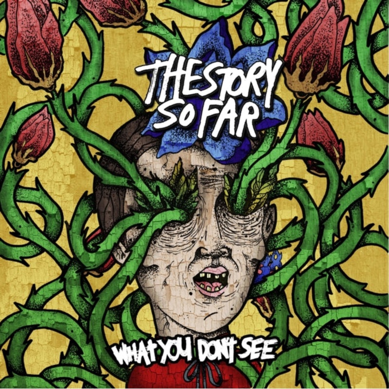 Story So Far – What You Don’t See – CD