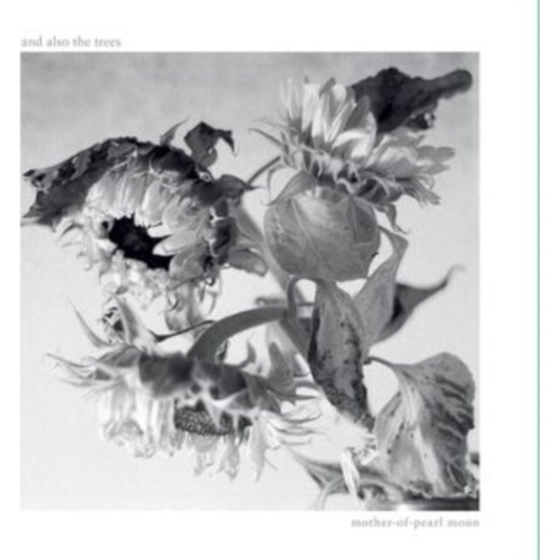 & Also The Trees – Mother-Of-Pearl Moon – CD