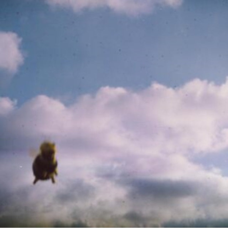 Pond – Stung! – CD