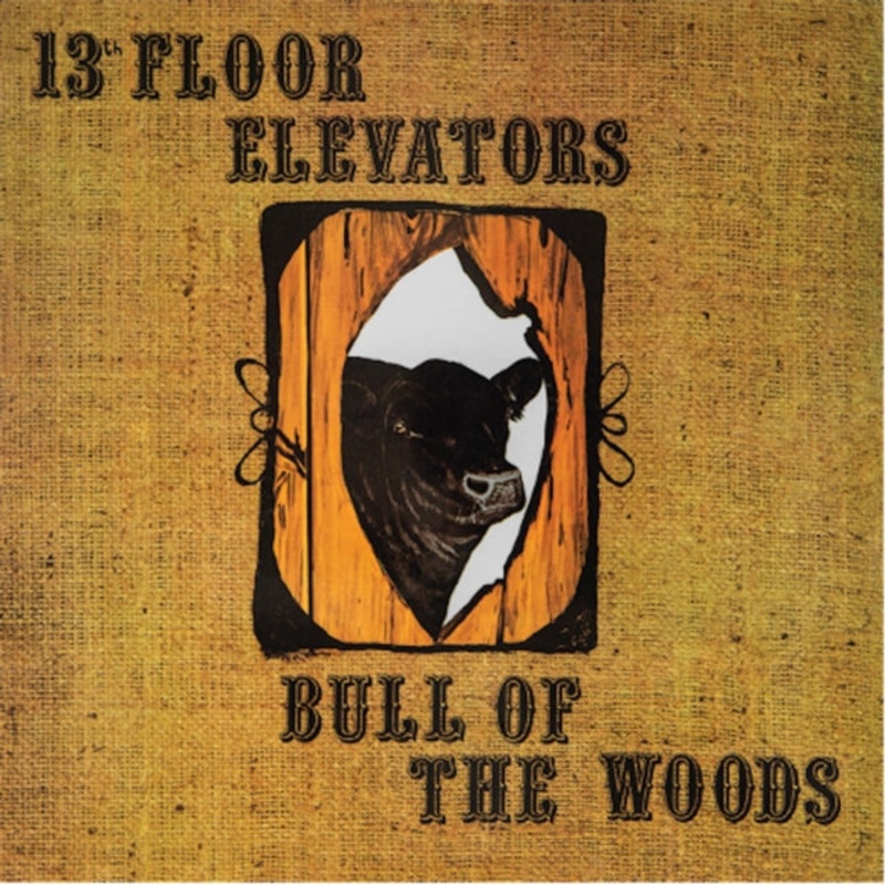 13Th Floor Elevators – Bull Of The Woods (Half Speed Remaster) – LP Vinyl