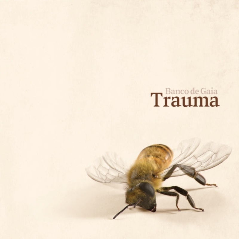 Banco De Gaia – Trauma – CD