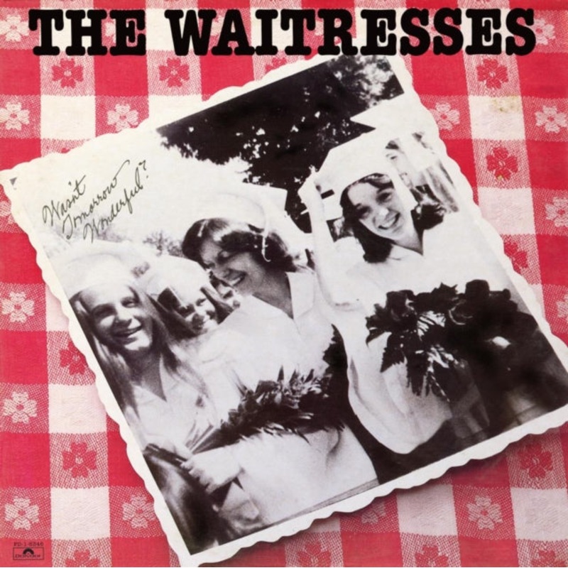 Waitresses – Wasn’t Tomorrow Wonderful? (Ruby Red LP Vinyl)