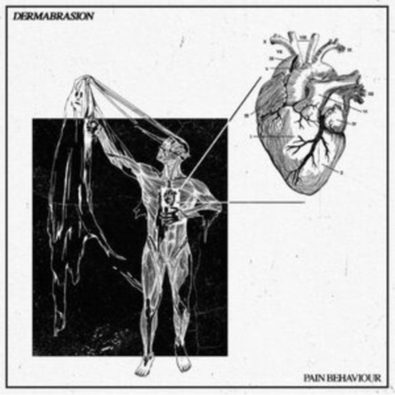 Dermabrasion – Pain Behaviour – CD