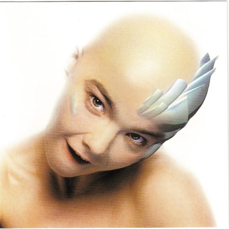 Bjork – Hunter – CD Single