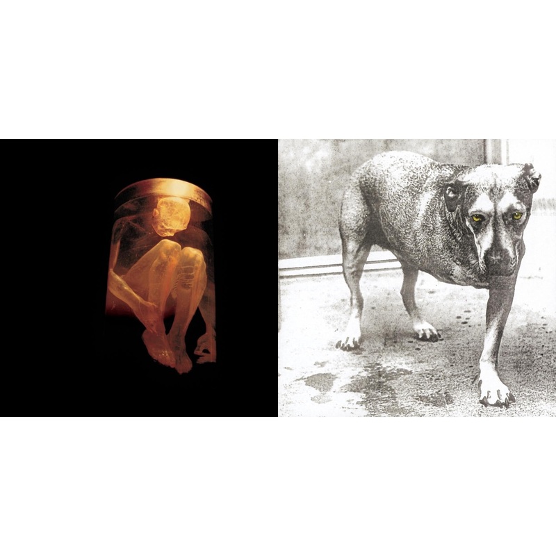 Alice In Chains – Nothing Safe: Best Of The Box & Alice In Chains – CD Bundle