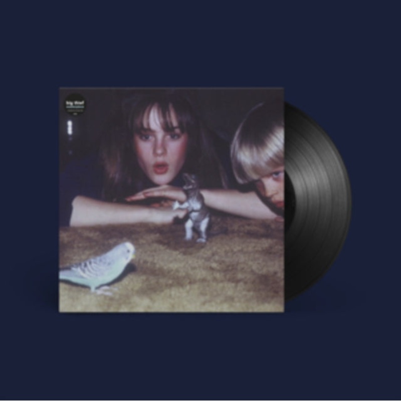 Big Thief – Masterpiece – LP Vinyl