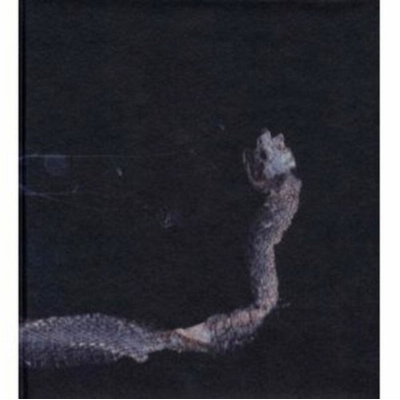 Tenhi – Maaaet (2LP/Clear Vinyl)