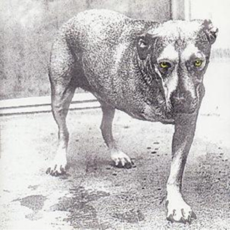 Alice In Chains – Alice In Chains – CD