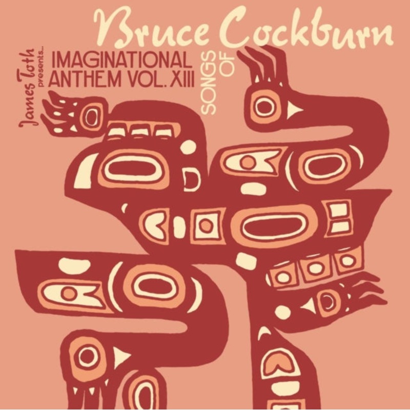 Various Artists – Imaginational Anthem Vol. Xiii : Songs Of Bruce Cockburn – CD